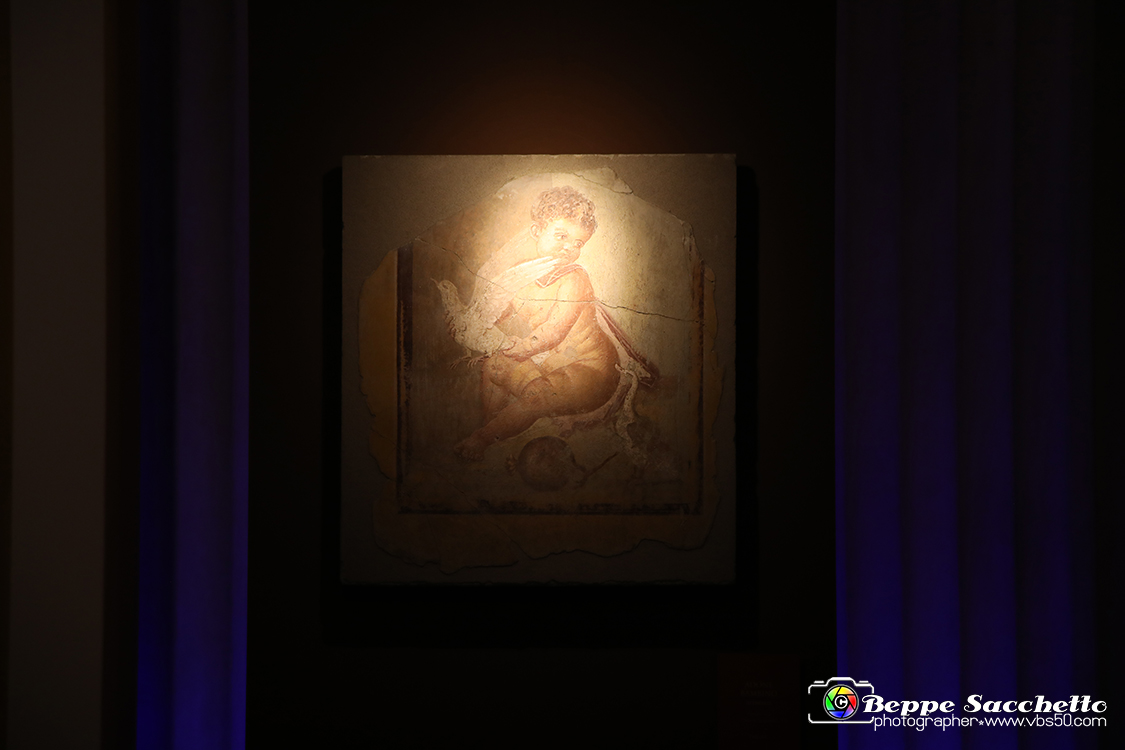 VBS_8960 - Mostra Invito a Pompei.jpg